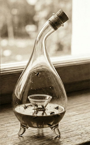 Philosophy as Therapy Wittgenstein famously stated his aim in philosophy: "To show the fly the way out of the fly-bottle" (§309). 1 The "fly-bottle" is the trap of philosophical confusion